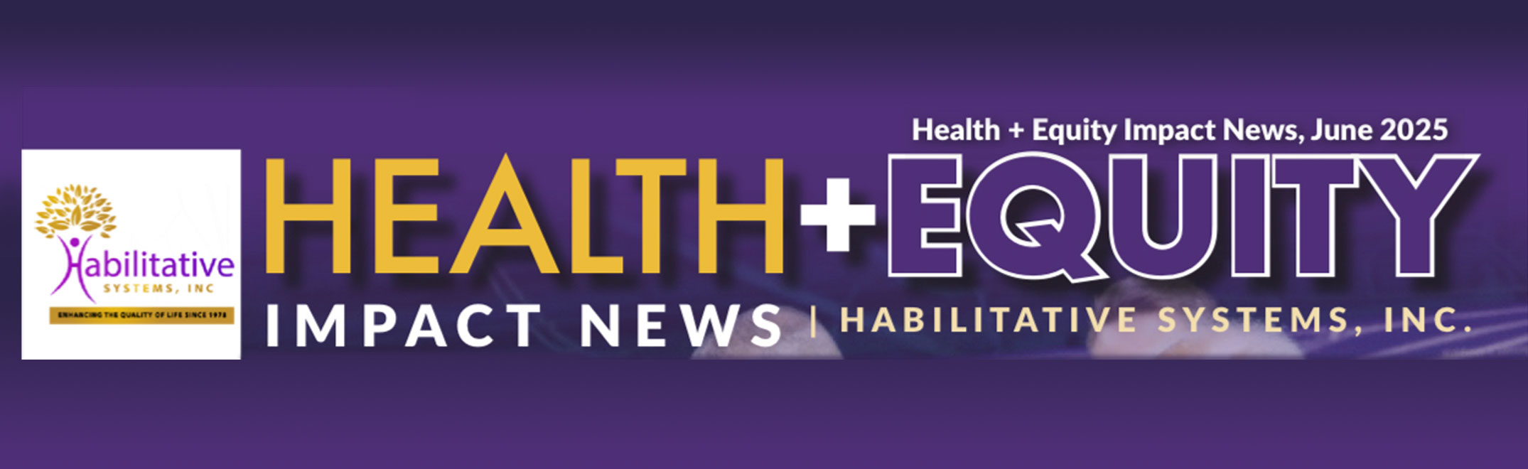 June 2025 HSI Quarterly Report