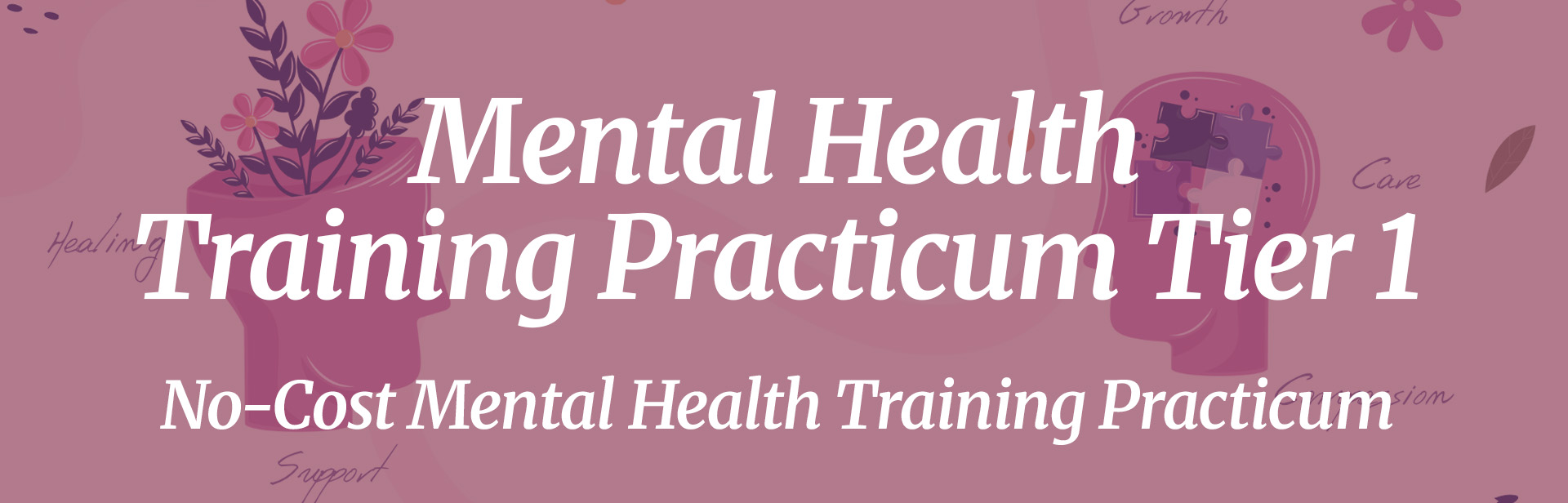 mental health training practicum registration tier 1