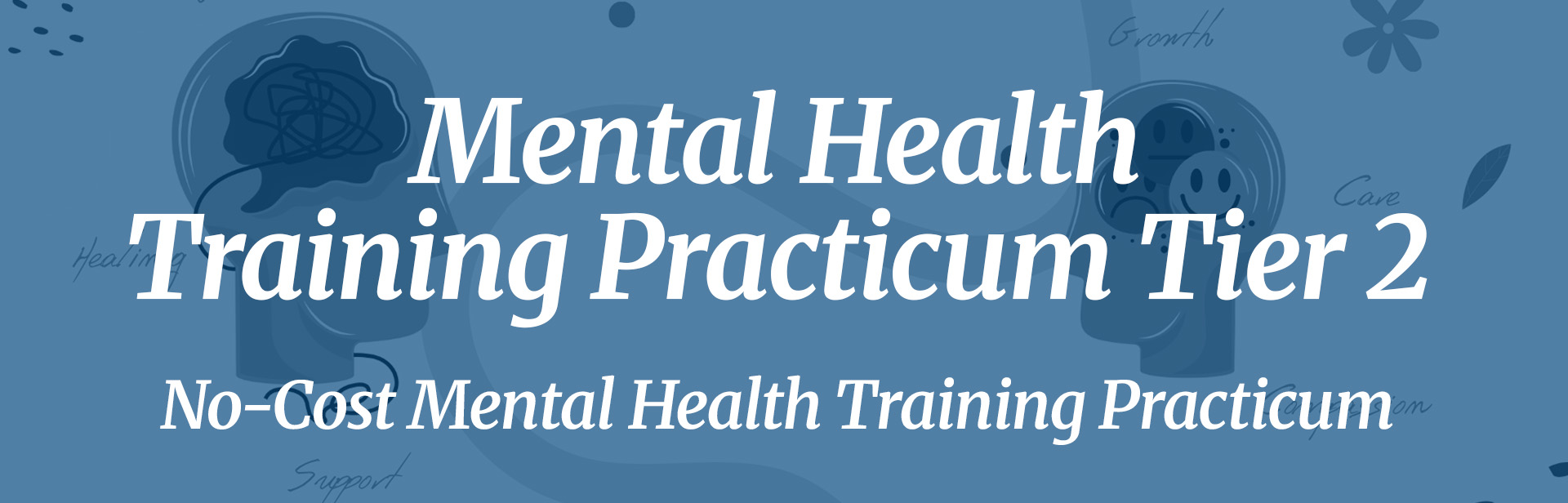 mental health training practicum registration tier 2